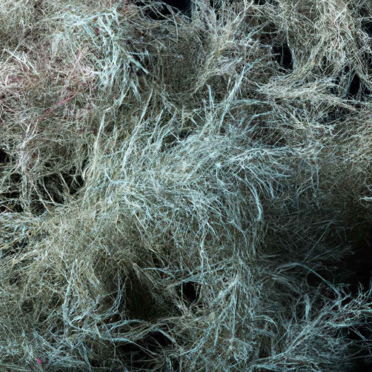 Jeju Artemisia Capillaris Extract G-MIJ(H)'s thumbnail image