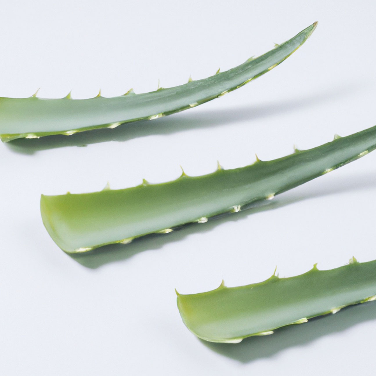 Aloe Barbadensis Leaf Extract G (H) image 1