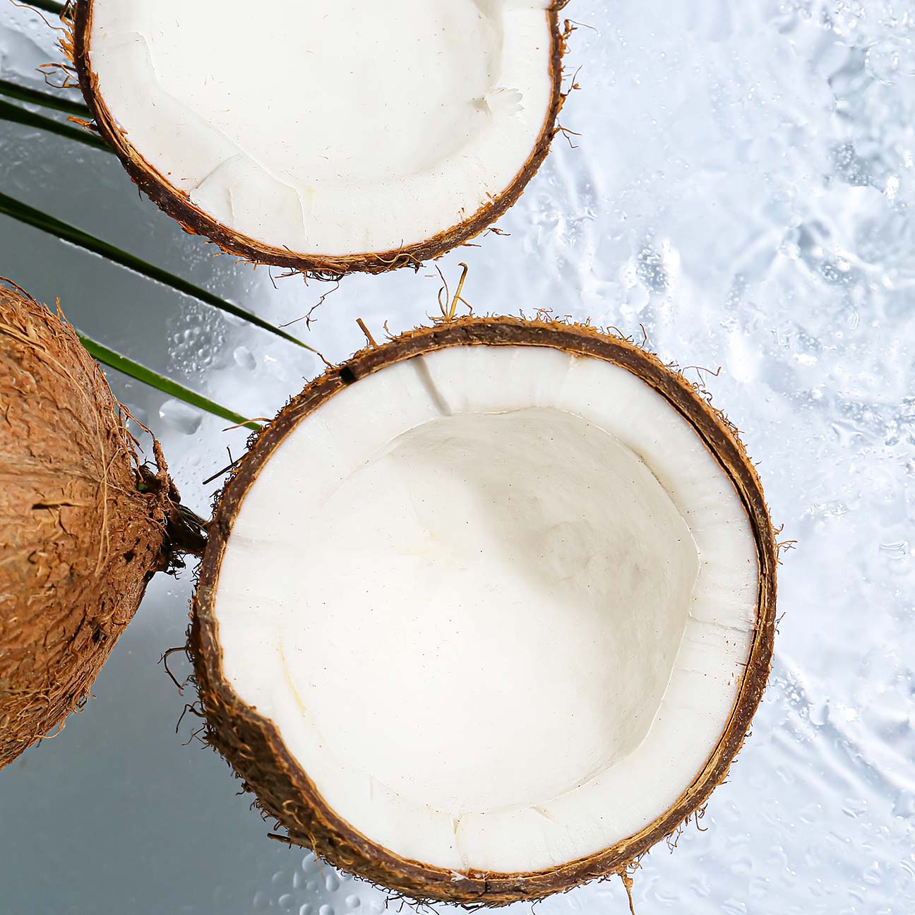Cocos Nucifera (Coconut) water G (H) image 2