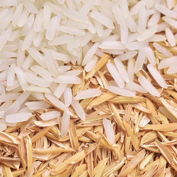 Jeju Dry-field Rice Extract G (PG) main image