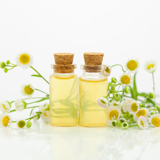 Chamomilla Recutita (Matricaria) Flower Extract G Antioxidant