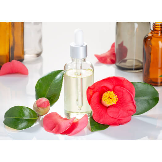 Jeju Camellia Japonica Flower Extract G (PG) Antioxidant Ingredients
