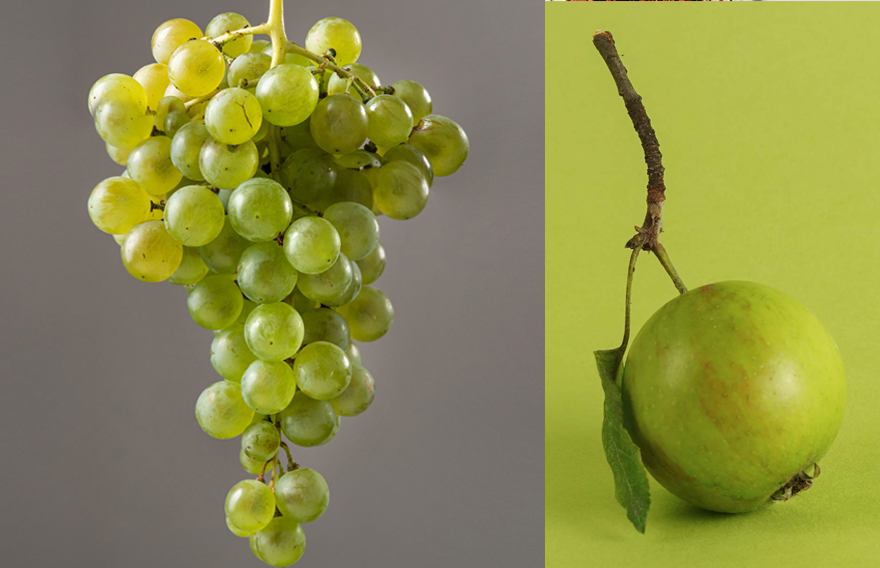 APPLE GRAPES's banner image