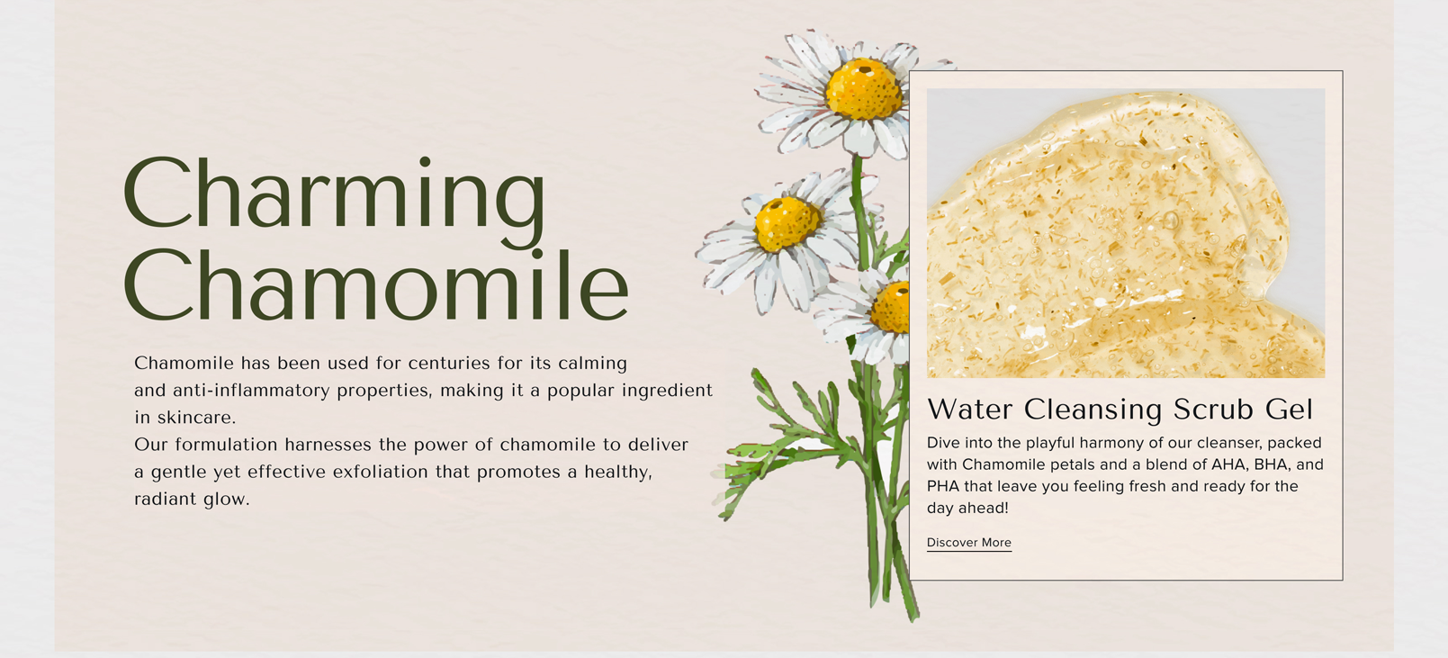 Charming Chamomile Chamomile has been used for centuries for its calming and anti-inflammatory properties, making it a popular ingredient in skincare. Our formulation harnesses the power of chamomile to deliver a gentle yet effective exfoliation that promotes a healthy, radiant glow. - Water Cleansing Scrub Gel 