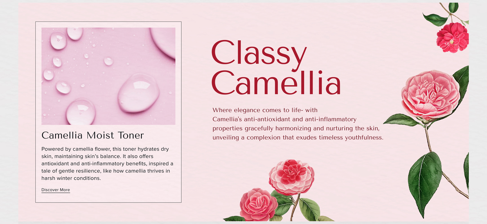 Classy Camellia Where elegance comes to life- with Camellia's anti-antioxidant and anti-inflammatory properties gracefully harmonizing and nurturing the skin, unveiling a complexion that exudes timeless youthfulness. - Camellia Moist Toner