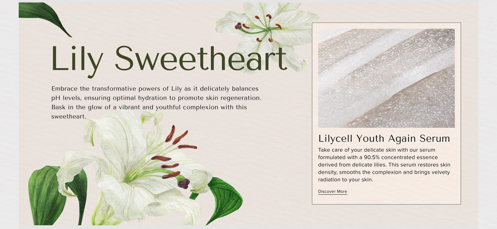 Lily Sweetheart Embrace the transformative powers of Lily as it delicately balances pH levels, ensuring optimal hydration to promote skin regeneration. Bask in the glow of a vibrant and youthful complexion with this sweetheart. - Lilycell Youth Again Serum