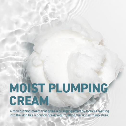 Moist Plumping Cream image 1