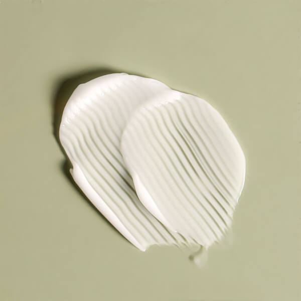 Camellia Peptide Intense Cream main image